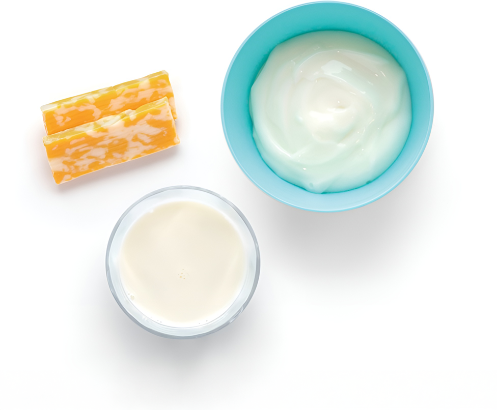 Cheese, yogurt, and milk displayed on white background