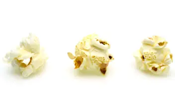 Three popcorn kernels on a white background