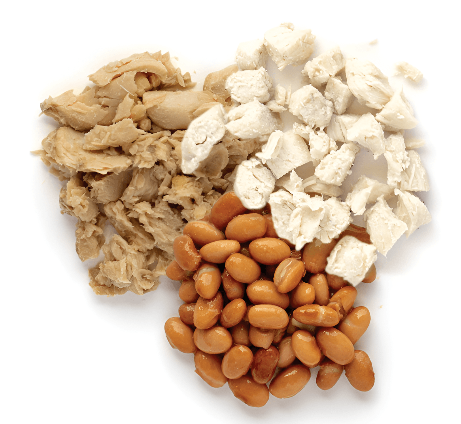 Chicken, turkey, and beans arranged on a white surface